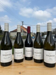 ‼️NOVINKA‼️ hlásíme, že máme v nabídce nové vinařství - gravitační vinařství Vilavin z Mikulovska. Využívá technologie výroby vína dle historických postupů a je jedním z 10ti vinařství na světě, která tuto metodu používá. Z vlastní zkušenosti můžeme říct jediné - mňam 👌 to musíte vyzkoušet 😃🍷🍇