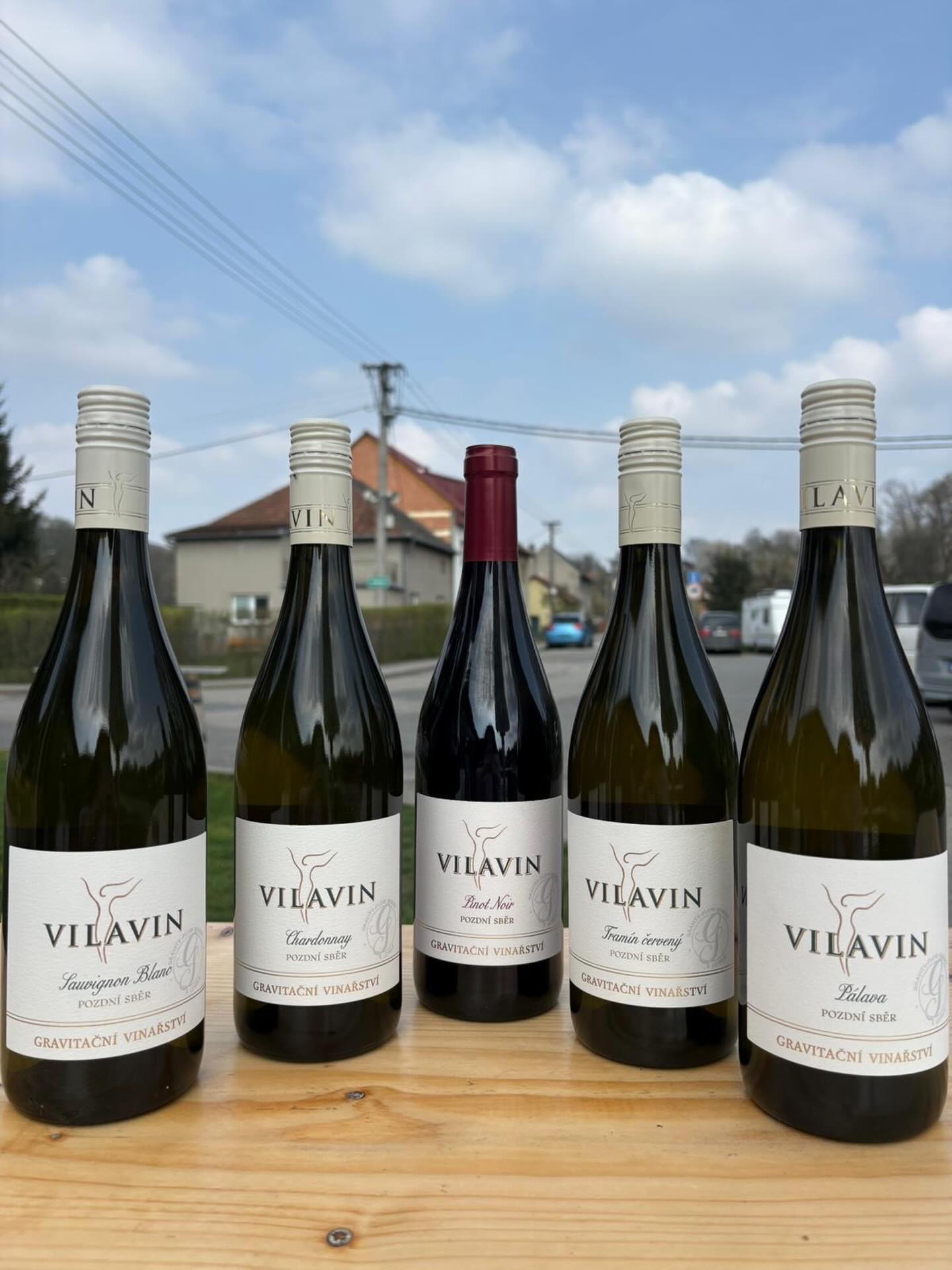 ‼️NOVINKA‼️ hlásíme, že máme v nabídce nové vinařství - gravitační vinařství Vilavin z Mikulovska. Využívá technologie výroby vína dle historických postupů a je jedním z 10ti vinařství na světě, která tuto metodu používá. Z vlastní zkušenosti můžeme říct jediné - mňam 👌 to musíte vyzkoušet 😃🍷🍇